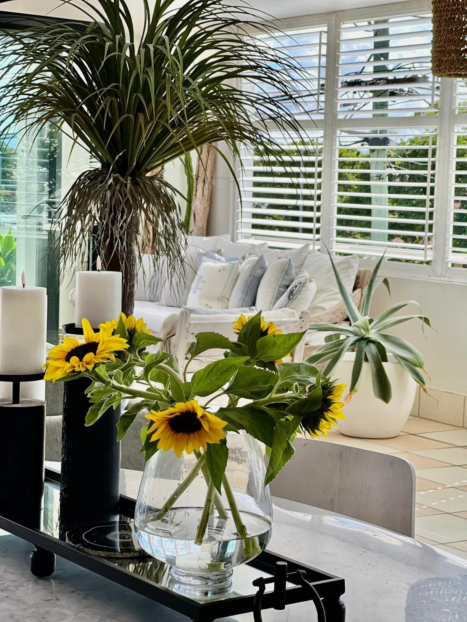 Sophie's Place Relaunch - Luxury Penthouse Byron Bay